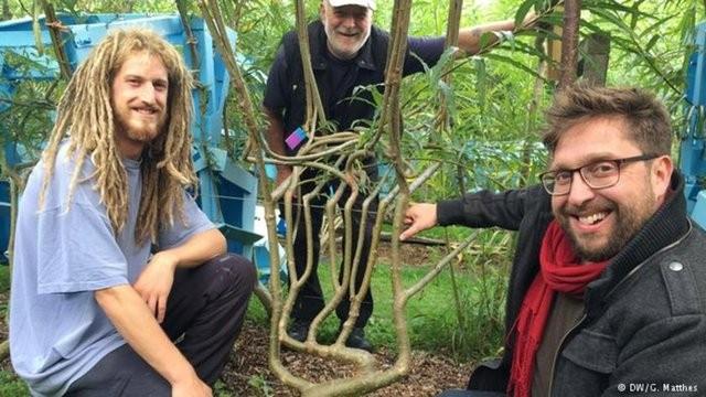 Tipik mobilya imalat srecini hatrlayalm: Aalar kes, ktkleri ta, parala, ekillendir, yaptrarak rn meydana getir. Bu srete elbette evre dman pek ok atk ortaya kyor.