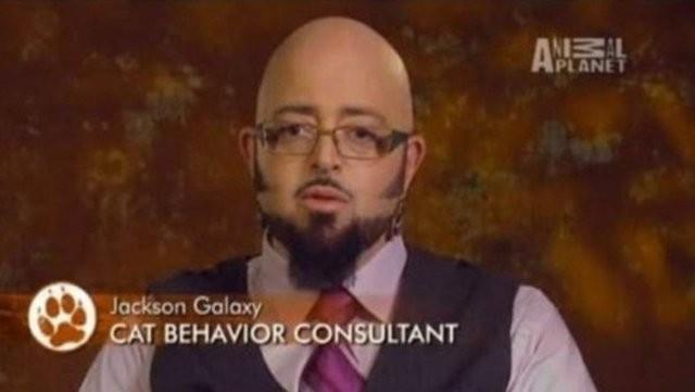 KED DAVRANILARI DANIMANI