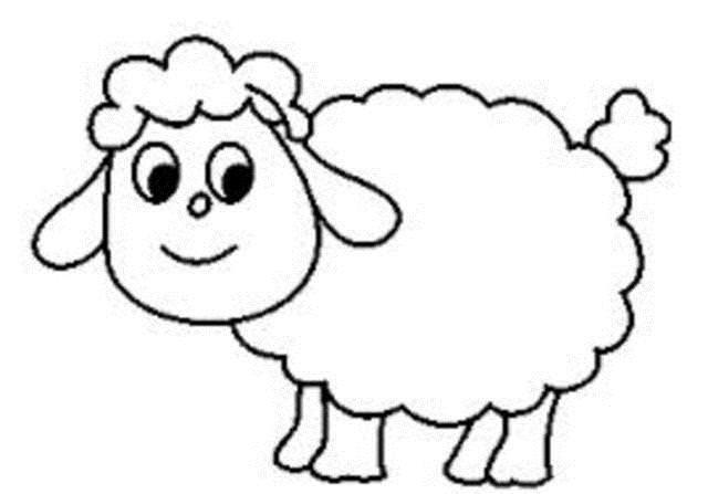 Bir iftinin 17 koyunu vard. Srde salgn hastalk oldu, dokuzu ar hastaland, dierleri ld. iftinin ka koyunu var?