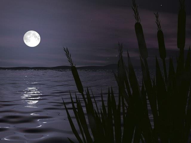 Gece saat sekizde yatyorum ve yatarken guguklu saatimi sabah dokuza kuruyorum ka saat uyurum?