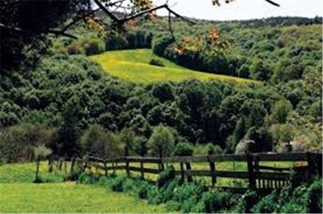 Polonezky:Polenezky, yeilliklerin bin bir tonunun hakim olduu doas, kr restoranlar, butik otelleriyle tercih edilecek yerlerden biri. Ancak hafta sonlar ar derecede insan olabiliyor.