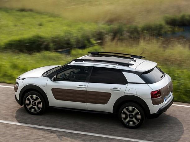 CA Cactus'lerde 20 bin TL'lik ksm 20 ay faizsiz taksit seeneiyle.