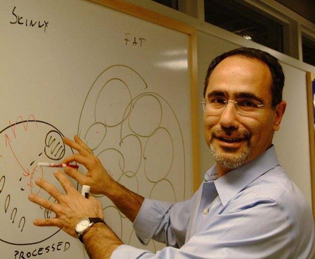 Gkhan Hotamlgil - Trk doktor ve bilimadam. 2005 yl itibar ile Harvard niversitesi'nde grev yapyor. Prof. Dr. Gkhan Hotamlgil ve ekibi diyabet ve karacier yalanmas gibi hastalklar durdurabilecek "lipokin" adl bir hormon kefetti