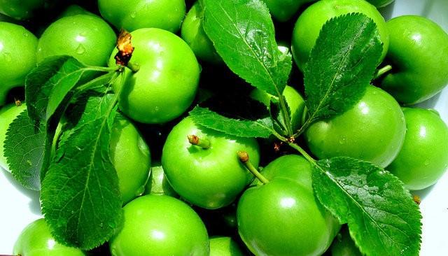 Buzdolabnda saklayn ancak en iyi tad almak iin yemeden nce oda scaklna getirin.