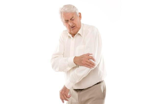 EKREM AGRISINA KARI SAVUNMA<br>  Yeil ay baklk sistemini gelitirerek eklemlere zarar veren maddeleri azaltr.