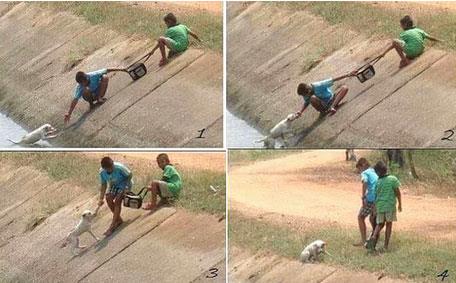 Kanala dm kpei antalarnn yardmyla kurtaran ufaklklar..