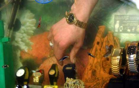 Ahlat'ta su geirmez saatler satan bir saati... Saatlerinden o kadar emin ki onlar bir akvaryumda sergiliyor...