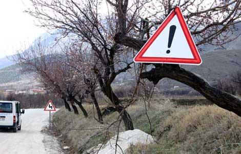 Yol kenarna konulan trafik levhasnn direini hrszlar alnca Trk'n pratik zekas devreye girmi. Bir vatanda tabelay alp aa dalna asm! Fotoraf Erzincan'dan...