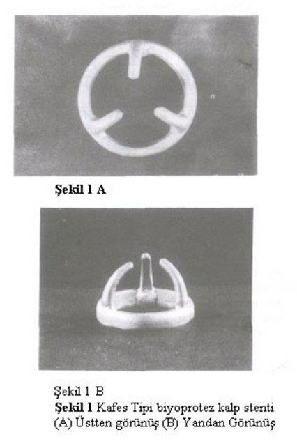 Stentli biyolojik kalp kapa: 2232 TL