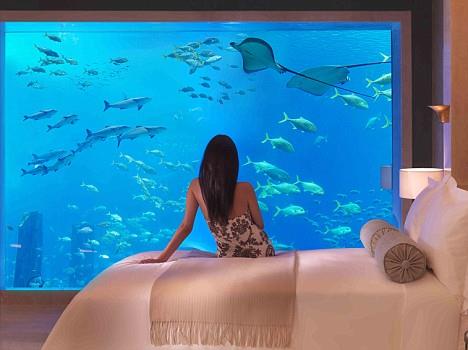 Oteldeki odalar akvaryum manzaral. Masmavi derinliklerin altnda 65 deiik balk tr arasnda uyuyabilirsiniz.
