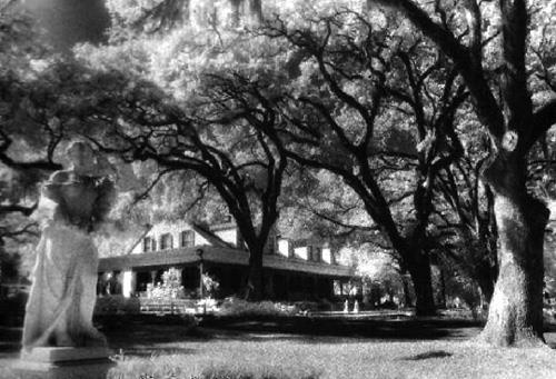 Myrtles Plantasyonu--St. Francisville, Louisiana'da bulunan bu ev "Amerika'nn en lanetli evi" olarak da bilinir. Canlanan yalboya tablolar, kanl el izi ve kendi kendine alp-kapanan kaplar fenomen lanetleri arasnda.