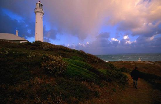 Point Hicks Deniz Feneri--Avustralya'nn dou kysnda bulunan bu deniz fenerinin korucusu 1947'de gizemli bir ekilde kaybolur. Sonralar bir ok ziyareti geceleri korucunun bot seslerini duyduklarn iddia etti. Bu arada korucunun hayaletinin halen kap kollarnn parlatp temizledii de sylentiler arasnda.