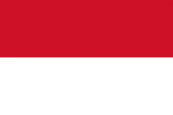 ENDONEZYA On binlerce kii katldklar gsterilerde Msr'daki katliamlar knad.