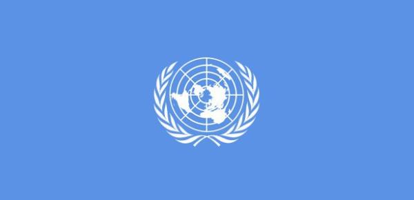 BM KINAYAMADI BMGK (BM Gvenlik Konseyi) nceki gn dzenledii toplantda Msr'n Nahda ve Adeviyye meydanlarnda gerekletirilen katliamlar grt. ngiltere, Fransa ve Avustralya'nn ars zerine yaplan toplantdan sonra yaplan aklama BM Gvenlik Konseyi'nin katliam knamasn bekleyenlerde hayal krkl yaratt.