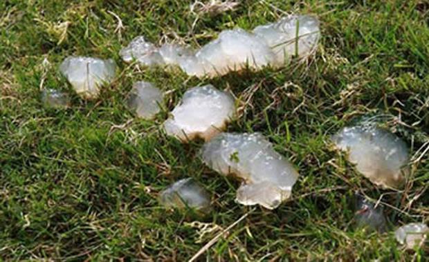 skoya&#8217;da Jle Yldz Yamuru