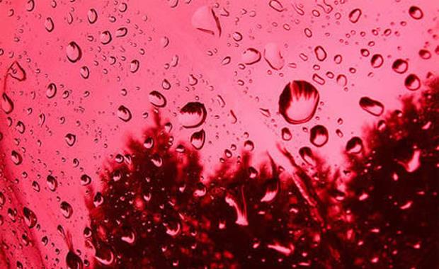 Kolombiya&#8217;da Kan Yamuru