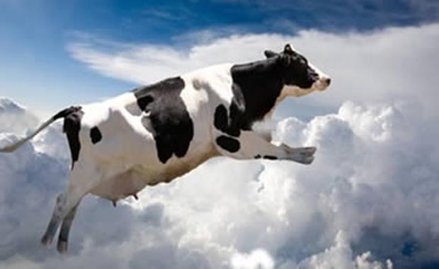 Japonya&#8217;da Gk Yznden Den nek