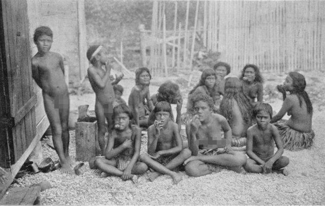 Profesr Jens Christian Svenning, "Kuzey Avrupa, insanlar yznden memeli eitliliinin byk lde azald tek blge deil. Bu kresel bir olgu" dedi. Bu gr, aratrmaya katlan Dr. Soren Forby de destekliyor.