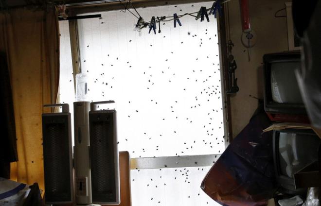 Evinde tek ba��na �lenlerin geride b�rakt�klar� evi temizlemek onlar�n her g�n yapt�klar� i�...