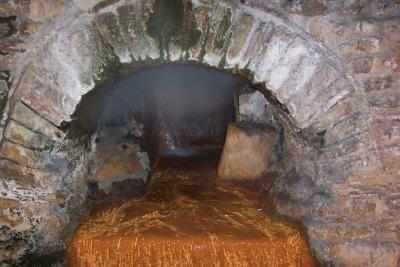 Stercorarius  <br>    Bu meslek Roma �mparatorlu�u d�neminde icra edilen ve zaman�na g�re �ok �nemli bir meslekti. Roma �ok geni� bir kanalizasyon sistemine sahip olmas�na ra�men, bu sistem her eve ula�acak kadar b�y�k de�ildi ve insanlar kendi at�klar�yla kendileri ilgilenmek zorundayd� veya “stercorarius” denilen ki�ilerin yard�m�n� kullanmak zorundayd�lar. Bu ki�iler ellerin bir el arabas�yla kap� kap� dola��p insanlar�n pisliklerini toplarlard�.