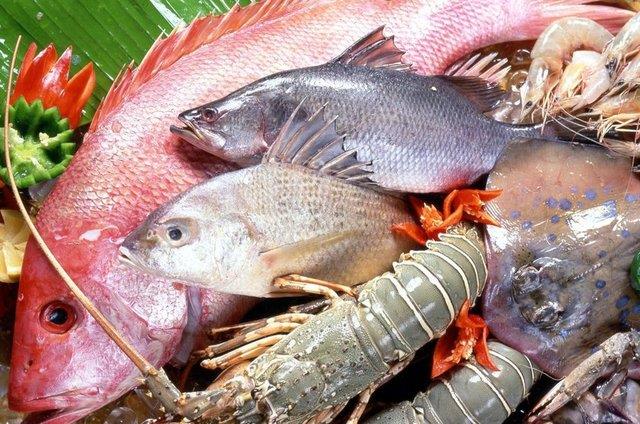 Bu�ulu ve i�e d�n�k g�zlerden ka��n�n. Kafas�ndan tutunca kuyru�u a�a�� do�ru de�il, tavada durdu�u gibi dimdik durmal�. Solunga�lar� pembe ve solunga� kapaklar� kapal� olmal�.