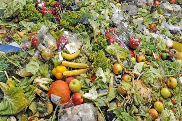 7. htiyacnzdan fazla yiyecek almayn<p>  rm yiyecekleri pe atmakla paranz pe atmak arasnda fark yok.