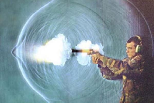 Bir kurun fotosu daha