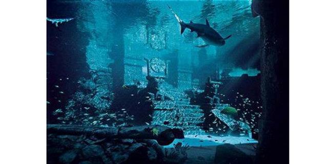 6. Kadim Grek, Finikeli, Hindu ve skandinav tanr ve tanralar Atlantis'in krallar, kralieleri ve kahramanlaryd. Mitolojide onlar ieren olaylar, gerek tarihi olaylarn belleklerde kartrlarak aktarlmas idi...