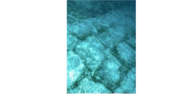 1. Mu asll Rmoahaller,