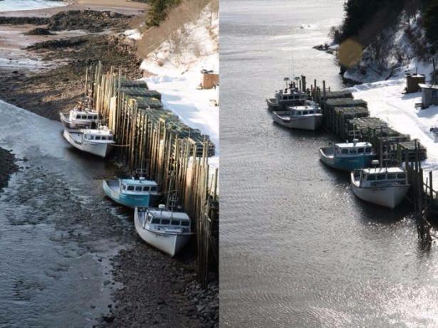 Fundy Krfezi, dnyadaki en yksek gelgit genliine sahip olma konusunda Quebec'te yer alan Ungava Krfezi ve ngiltere'deki Yediz Halilerle yarmakta.