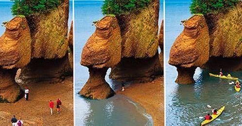 Her ne kadar Fundy Krfezi, 2011 Kasm'nda biten yarmada doann harikalarndan biri seilmese de, finale kalmasn salayan ok nemli bir zellii var.