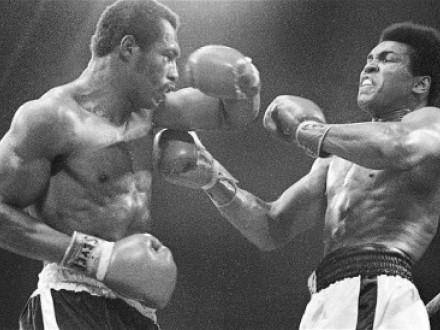 <p>Amerikan-slam likileri Konseyi'nden Davud Velid, Ali'yi yle anlatyor:</p>    <p>"ocukken annemle babamn bana aldklar ilk aksiyon figr oyunca Muhammed Ali'ydi. O, benim dnemimde Afrika kkenli Amerikallar ve Mslmanlar iin belki de dnyann en byk ve etkili popler kltr sembolyd. Medeni haklar dneminde ABD'deki ayrmcla kar durdu. Direni zihniyetinin aydnlanmasnda ve Mslmanlarn basmakalp fikirlere boyun ememesi gerektii , bir Mslmann en az bir Hristiyan ya da Yahudi kadar Amerikal olduu duygusunun yaylmasnda pay var."</p>