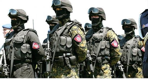 Srp Jandarma Kuvvetleri