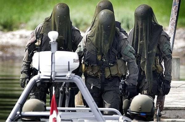 Danimarka zel Kuvvetleri