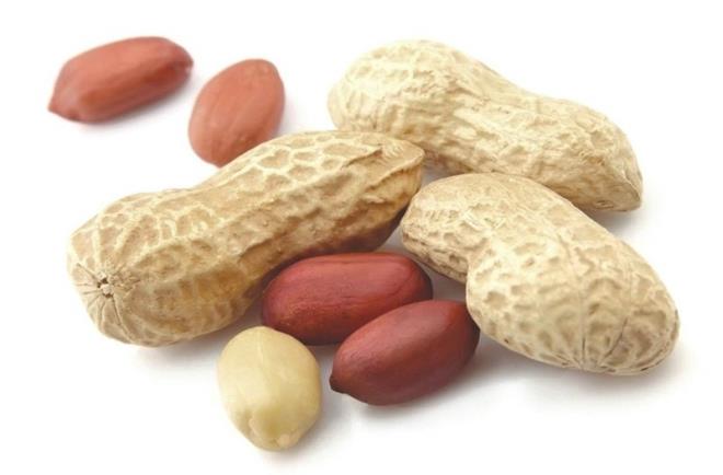 YENLECEK KURUYEMLER  Vcudunuzun farkl minerallere ihtiyac olduunu unutmayn. Bunun iin de Canan Karatay sahurda ya da sahura kadar olan vakitte fndk, fstk, yer fst ve ceviz yenilmesini neriyor. Elbette btn bunlar makul dzeyde tketilecek.