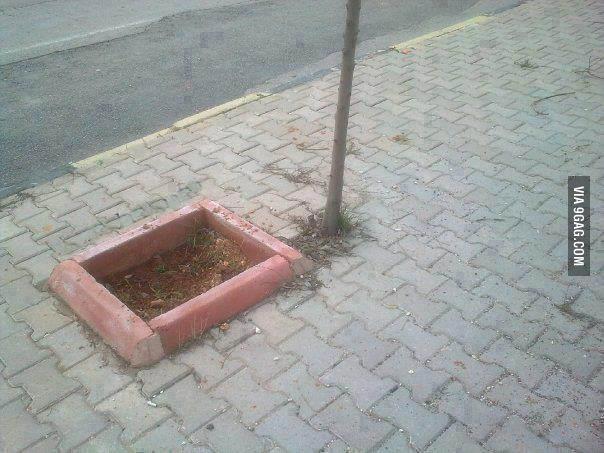 &#8220;Mimari seviyesi: Trk&#8221;