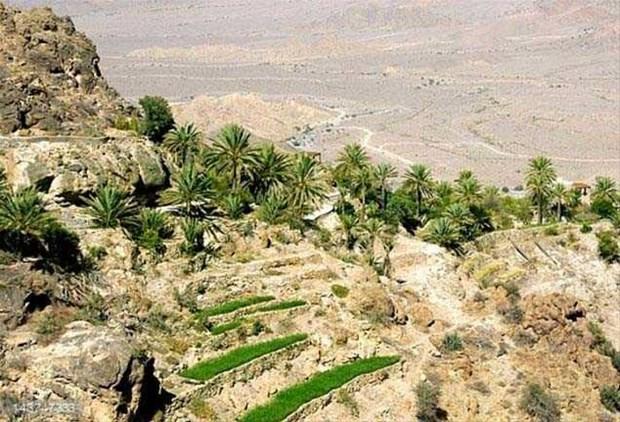 Her yl ramazan aynda ok sayda insann ekim merkezi olduu syleniyor.