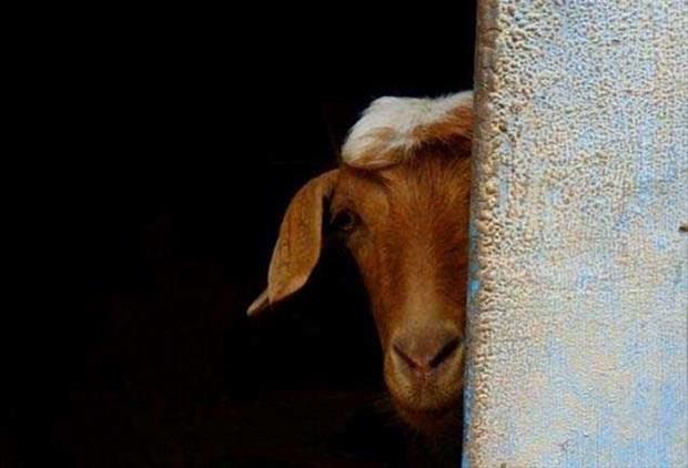 Turistlerin urak mekan olan kyn doas insanlar cezbediyor.
