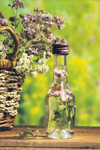 <p><b>Bitkiler yallk nedeniyle lr m? </b></p>  Baz bitkiler iyi bakldnda sonsuza kadar yaayabiliyor. Ancak mevsimlik bitkilerin mr ksa olur.