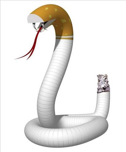 <p><b>Tiryaki olmak iin ka sigara iilmeli? </b></p>  nemli olan sigara says deil. Bamllk sabah uyandktan sonra ilk sigaray ne zaman yaktnzla ilgili. lk sigara iiten sonra bamllk bir yl iinde tamamlanyor.