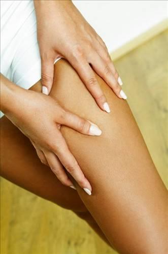 <p><b>Kanmak tam olarak ne demek? </b></p>  Kanmak, cilidin ok hafife uyarlmasdr. Bunun bcek srna kar bir savunma mekanizmas olarak gelitirildii tahmin ediliyor.