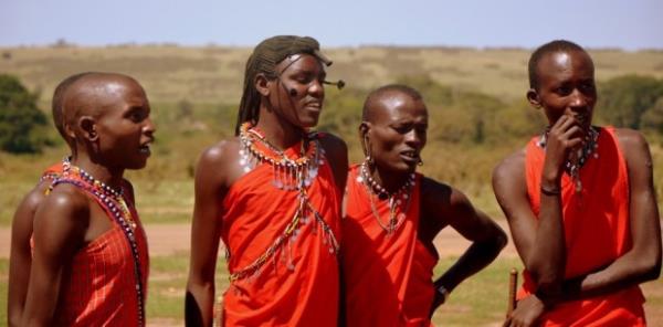 11 Eyll terr saldrsndan sonra, Afrika'nn nl Masai kabilesi Amerikan Hkmetine yardm amal 14 adet inek gndermi.