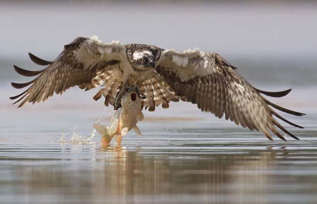 Fotoraflar hereyi anlatmaya yetti de arttt bile...