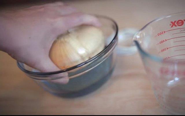 Arkadann verdii fikir ile sebzelerle elektrik enerjisi retebileceini dnen Owen Luis bunu gerekletirdii deney ile kantlama benziyor.