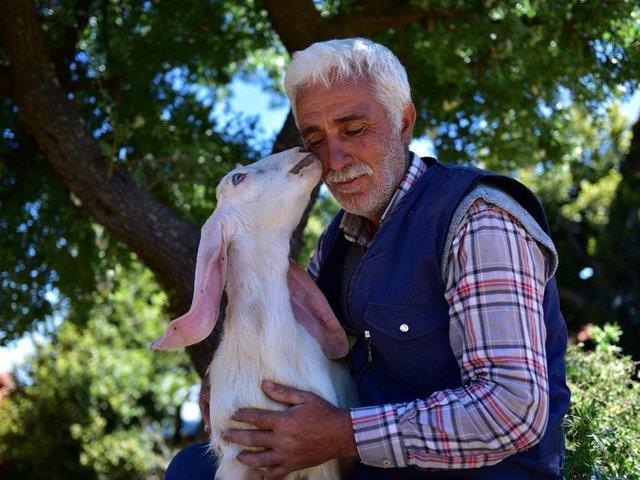 Cierimin kesi  <p>  &#8220;The corner of my liver&#8221;