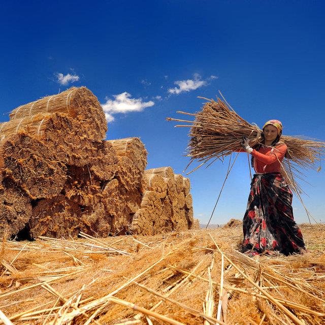 Ta att da kolu mu yoruldu?  <p>  &#8220;Did he throw a stone so his arm got tired?&#8221;