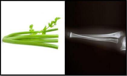 10. Kereviz ve kemikler<br>  Grnts kemie benzeyen kereviz, ilgin bir ekilde kemik geliimine katkda bulunur. n kol kemii ve dirsek kemii kerevizin saplar gibi ince ve gldr.