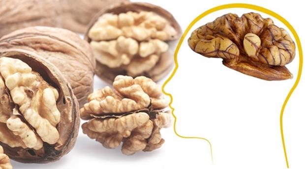Ceviz, nrotransmitterlerin geliimini maksimuma karr ve beynin kimyasal dengesinin korunmasna katkda bulunur. Ayrca, dzenli ceviz tketiminin depresyon ve bunama gibi rahatszlklara kar mcadele ettiini destekleyen almalar da mevcuttur.
