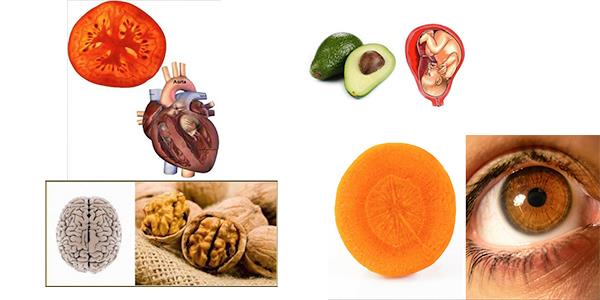 Doa gerekten hayret verici ve yeni yeni anlamaya baladmz bir dil olan benzerlikler dili araclyla bize mesajlar gnderiyor. Bu dili renmek gerekten ok nemli, nk doaya ne kadar ok yaklarsak aslnda kendimize de bir o kadar ok yaklam oluruz.