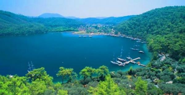 Tekin, "Kurban Bayram'nda tarifeli seferlerin tamamnn satlacan ngryoruz.